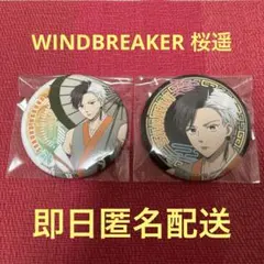 WINDBREAKER桜遥 サイバーチャイナ 75mm