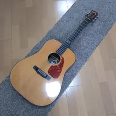 t1263 美品 Morris モーリス F-12 CS アコースティックギター 2018年12月購入 2025年最新Yahoo!オークション -morris f-12(モーリス)の中古品