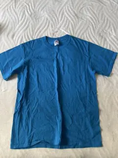 フルーツオブザルーム　Tシャツ　ブルー