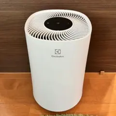 2026年最新】エレクトロラックス 空気清浄機の人気アイテム - メルカリ