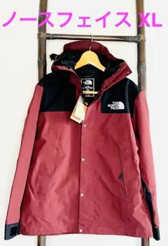 【海外限定色】ゴアテックス ノースフェイス 茶 マウンテンパーカー ブラウン