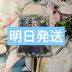 オーガプロフィール必須様 リクエスト 3点 まとめ商品