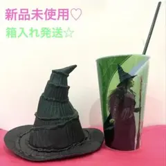 2026年最新】Wicked タンブラーの人気アイテム - メルカリ
