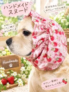 アメコカ　コッカー　キャバリア　アメリカンコッカースパニエル　スヌード　中型犬