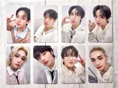 stray kids 5/10 トレカ 会場限定 特典 エコパ 静岡 コンプ