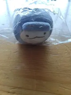 すみっコぐらし とかげ 水族館