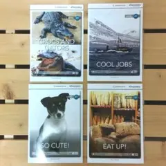 児童向け洋書　4冊セット