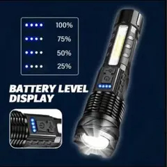 Item thumbnail for item 7b13514a-1a2d-4586-b8c8-612eb6aaf33a