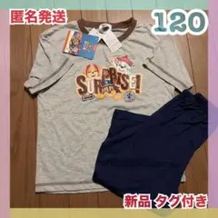 新品 120 パウパトロール トップス 子供 さしTシャツ バックスバニー