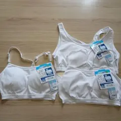 165 160　モールドカップ　白　ブラ　ハーフトップ　３枚