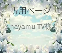 hayamu TV様専用