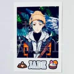 2026年最新】ツイステ ジェイド カードの人気アイテム - メルカリ