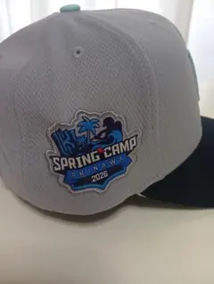 Item thumbnail for item 2845e9fb-e3a2-4174-8597-01dca49f1465