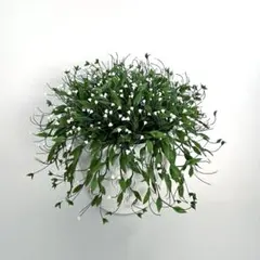 専用　ブライダルベール　クレイフラワー