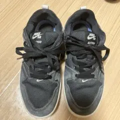 NIKE SB キッズスニーカー　22.5cmのサムネイル