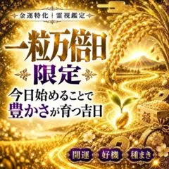 霊視鑑定・10/11 一粒万倍日限定】金運｜仕事・開運・未来・恋愛・転機