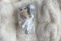 skzoo straykids つまんでつなげてますこっと フォクシニー