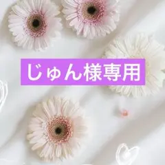 バラ苗 大苗 海外品種 レア薔薇 P!nk 0hara - メルカリ