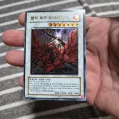 2026年最新】遊戯王 レリーフ 韓国の人気アイテム - メルカリ
