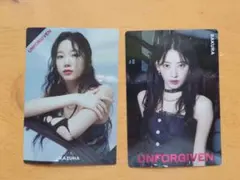 LESSERAFIM サクラ カズハ ウエハース ステッカー