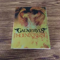 Galneryus/LIVE FOR REBIRTH DVD - メルカリ