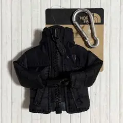 Item thumbnail for item d1e69332-3c06-46f3-980d-4ceb9c1d99fe