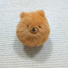 【即日発送】しっぽぶんぶん！ポメラニアン　ちゃポメ　エール（YELL）