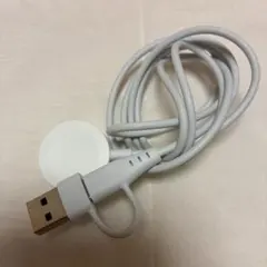 Apple watch 充電コード USB/typeC