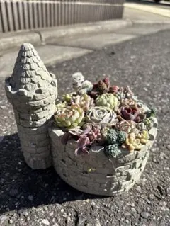 2026年最新】そのまま飾れる多肉寄植えの人気アイテム - メルカリ