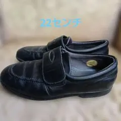 Item thumbnail for item 41abc48f-9677-4ea6-83ef-be5d3fb49f33