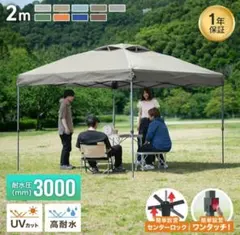 ApeexCanopy タープテント 300cm 本体 - メルカリ