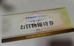 最新版　ヤマダ電機　株主優待　 500円×10枚