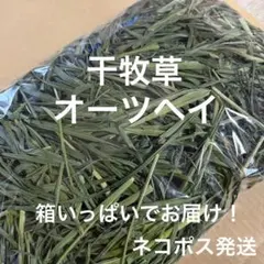 生牧草農薬不使用！オーツヘイ✨ネコポス箱込み500g以上 小動物おやつ