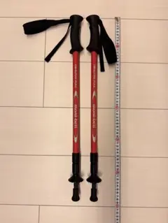 oregahustler様専用】フジクラ アライメントスティック | Mercari