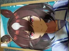 ウマ娘 サンリオコラボ はぴだんぶい ぬいぐるみマスコット シリウス