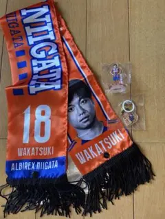 Item thumbnail for item 73341f6c-3b1b-47dc-bd60-abd15eea438c