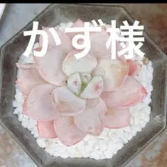 かず様 リクエスト 3点 まとめ商品