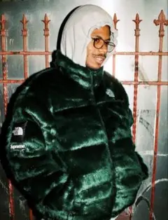 Supreme / The North Face Nuptse Jacket