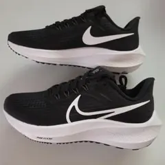 Item thumbnail for item dee6d4ef-eb79-486e-bd6b-3f8e5e901bee