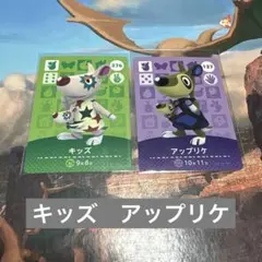 ♡どうぶつの森amiiboカード　キッズ　アップリケ♡
