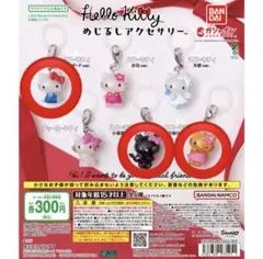 ハローキティ めじるしアクセサリー セット 日焼け 小悪魔 スタンダード