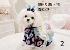 E6.pon2pan2☆現品犬浴衣 E6.pon2pan2☆現品犬浴衣 - メルカリ