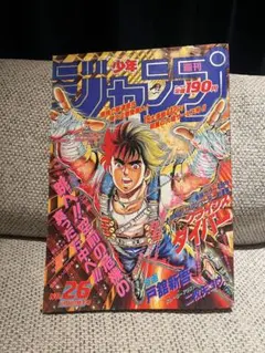 週刊少年ジャンプドラゴンボール 巻頭カラー新年 1995年5号6号合併号る