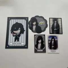 ヒロアカ 花やしき 相澤消太 5点セット ビジュアルカード アクリルカード