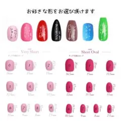 2種類 サンプルチップ 計測用 測定用 ネイルチップ