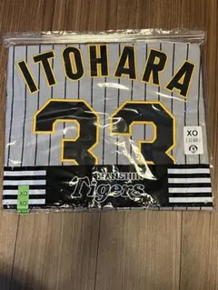 Item thumbnail for item 03e359c9-fa65-4b6f-978d-6abaf4a28fc8