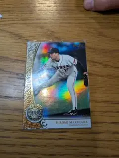 Item thumbnail for item c8eb0b5d-9f66-43bf-a1b1-3679baf0c3be