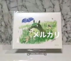 となりのトトロ　グリーティングカード　草むら散歩