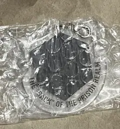 一番くじ 呪術廻戦 死滅回游 ～壱～　M賞 アクリルチャーム