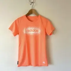 Item thumbnail for item 0b248171-46c6-42e0-89ca-935a86b3da01